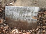 image of grave number 835155